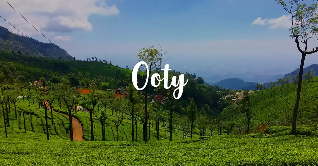 Royal travellines ooty